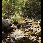 Su Niberalzu *