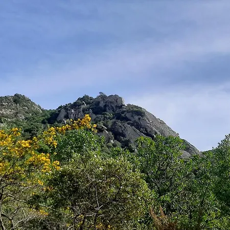 Séjour à la campagne Su Niberalzu Monti