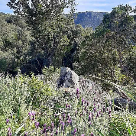 Séjour à la campagne Su Niberalzu