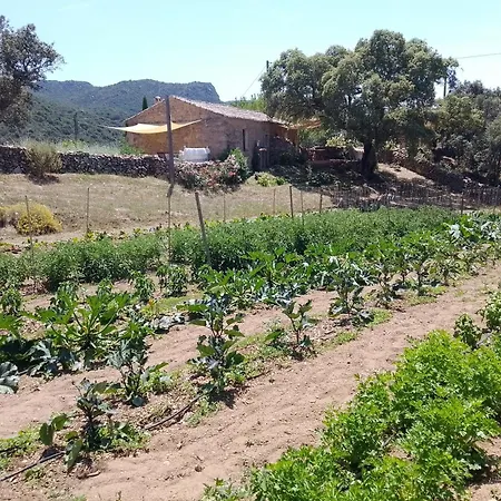 Séjour à la campagne Su Niberalzu
