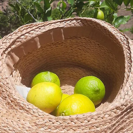 Séjour à la campagne Su Niberalzu Monti