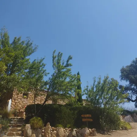 Su Niberalzu * Monti