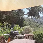 Su Niberalzu *