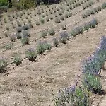 Kır Evi Su Niberalzu Monti