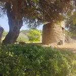 Kır Evi Su Niberalzu