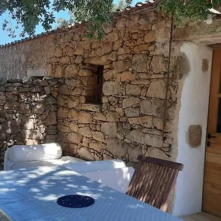 Su Niberalzu