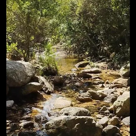 Su Niberalzu *
