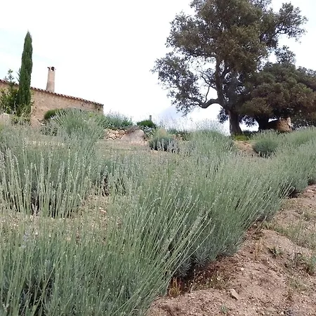 Su Niberalzu Séjour à la campagne Monti