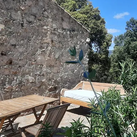 Country house Su Niberalzu *