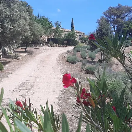 Country house Su Niberalzu