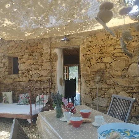 Su Niberalzu Monti