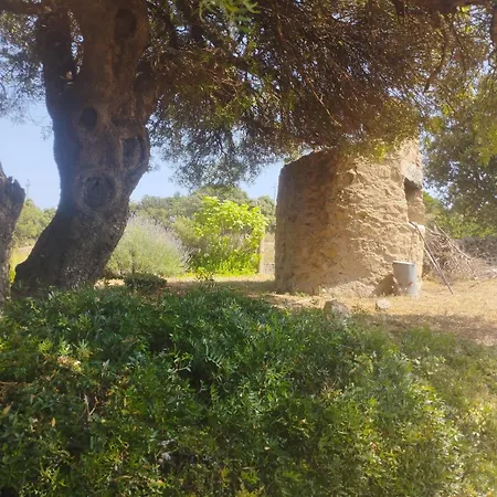 Εξοχικό σπίτι Su Niberalzu