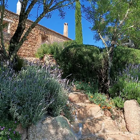 Su Niberalzu Monti