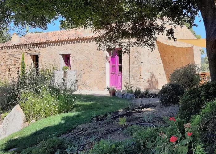 Gospodarstwo wiejskie Su Niberalzu Monti