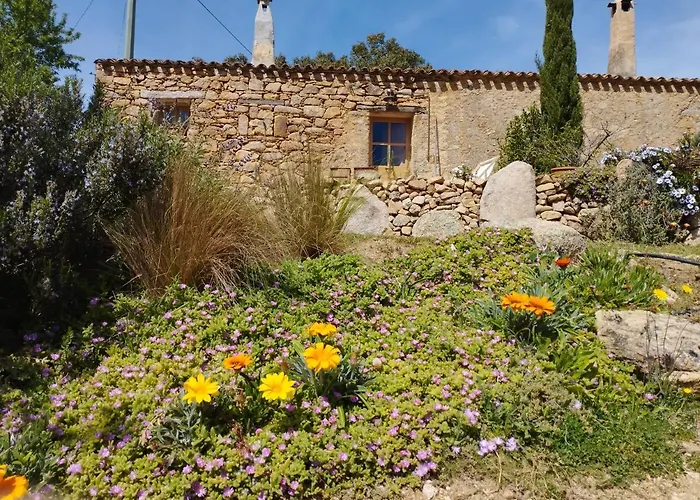 Su Niberalzu Gospodarstwo wiejskie