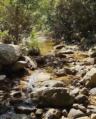 Su Niberalzu Gospodarstwo wiejskie *