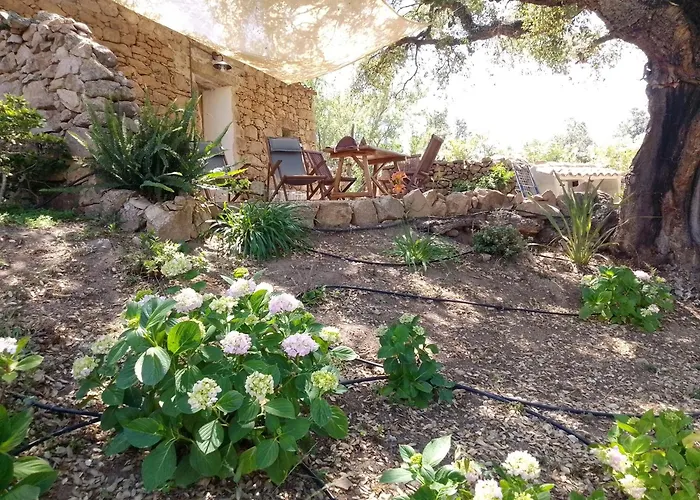 Su Niberalzu Gospodarstwo wiejskie