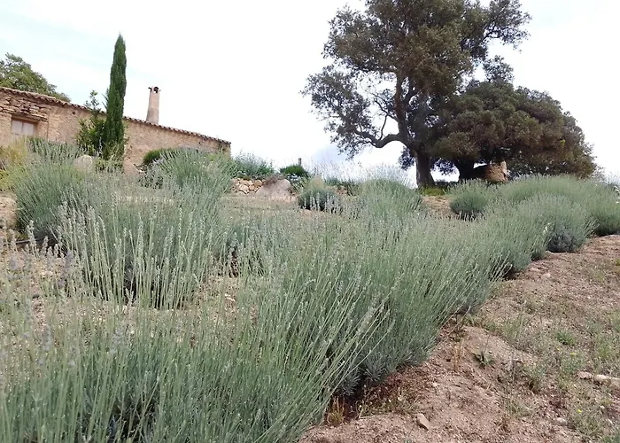 Su Niberalzu Gospodarstwo wiejskie Monti