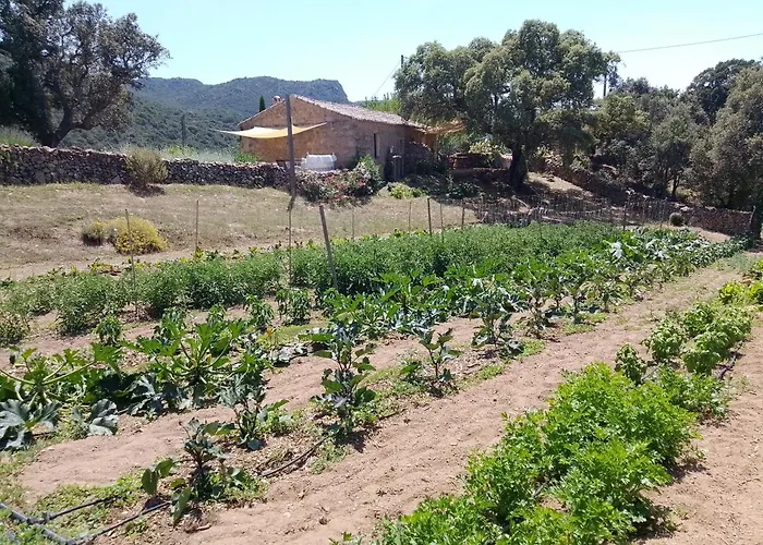 Gospodarstwo wiejskie Su Niberalzu