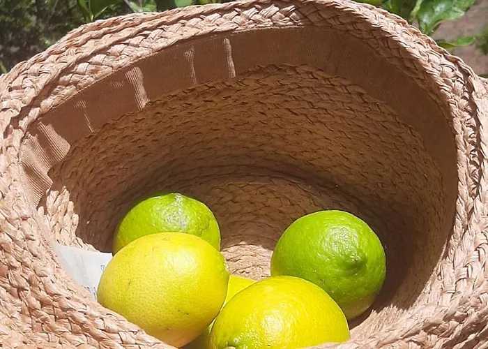 Gospodarstwo wiejskie Su Niberalzu Monti