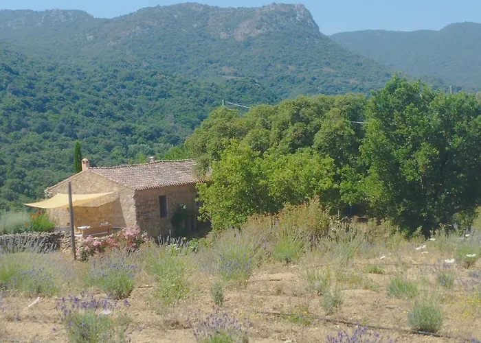 Su Niberalzu Gospodarstwo wiejskie