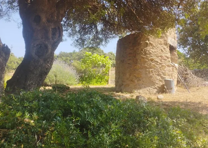 Gospodarstwo wiejskie Su Niberalzu