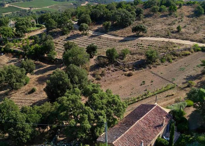 Gospodarstwo wiejskie Su Niberalzu *